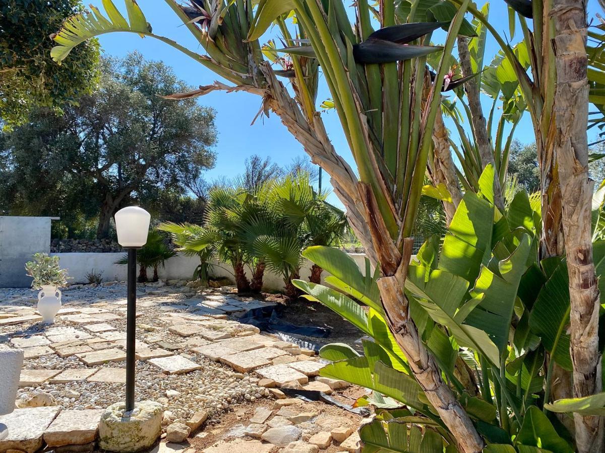 La Villetta Di Noemi - Puglia Mia Apartments مونوبولي المظهر الخارجي الصورة